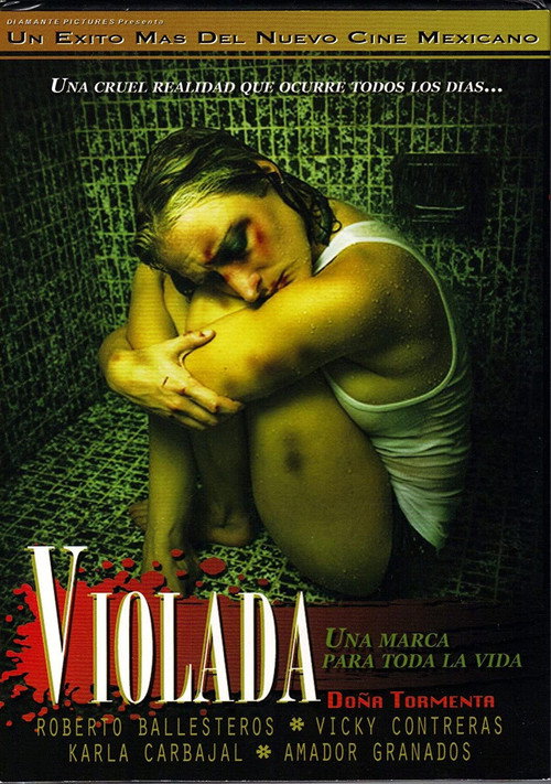 Movie poster for Doña Tormenta (2011)