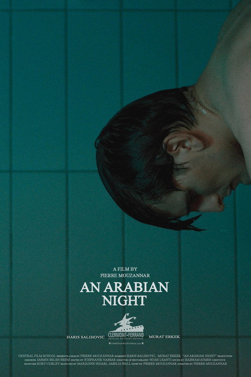 Movie poster for An Arabian Night (2020)