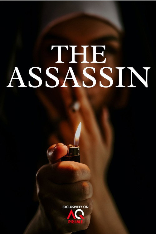 Movie poster for The Assassin