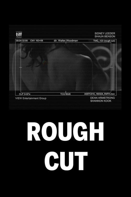 Movie poster for (rough cut) (2016)