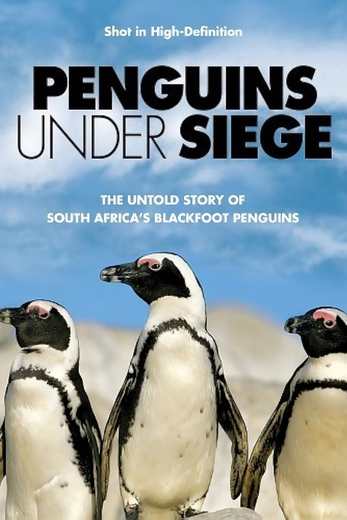 Movie poster for Penguins Under Siege (2004)