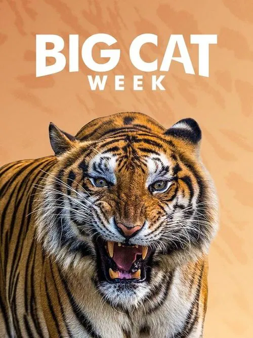 Series poster for Big Cat Diary (1996)