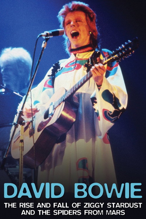 Movie poster for David Bowie: The Rise And Fall of Ziggy Stardust and the Spiders From Mars (2006)