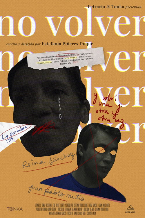 Movie poster for No volver
