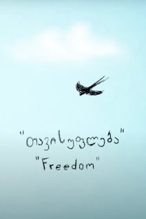 Movie poster for Freedom (2014)