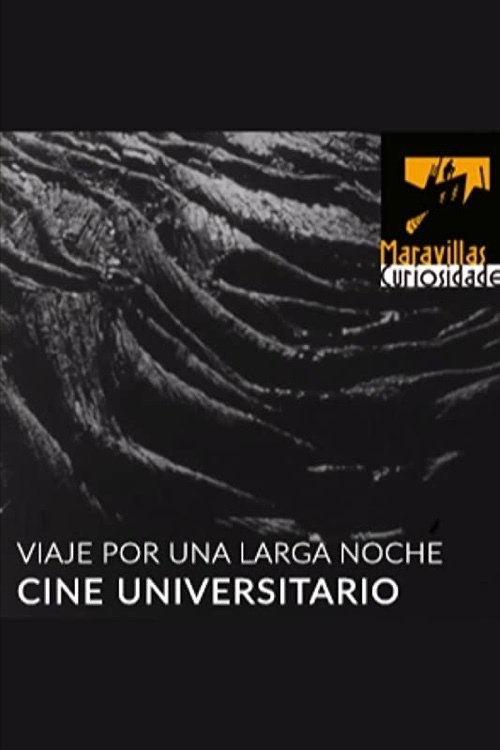 Movie poster for Viaje por una larga noche (1977)