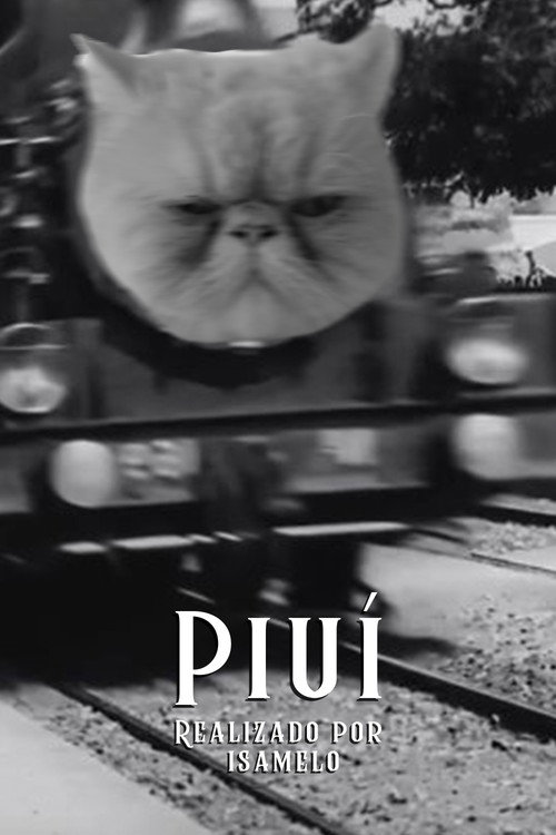 Movie poster for Piuí (2020)