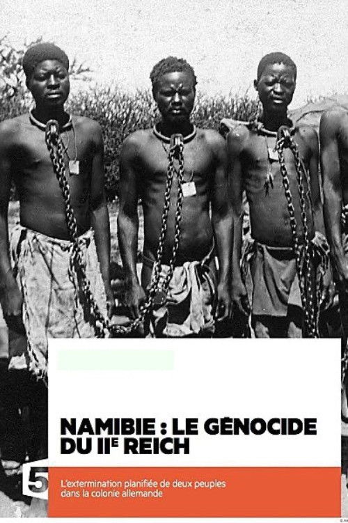 Movie poster for Namibia: The Genocide of the Second Reich (2012)