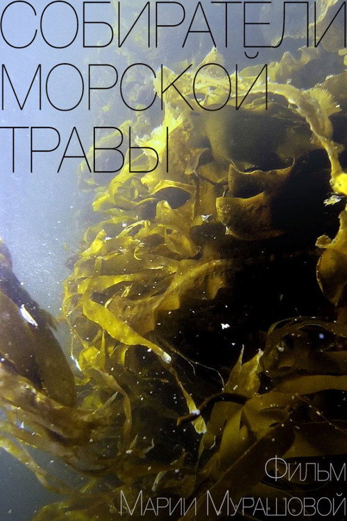 Movie poster for Gatherers of Sea Grass (2016)