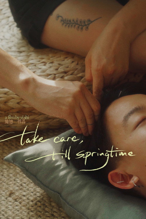 Movie poster for Take Care, Till Springtime (2025)