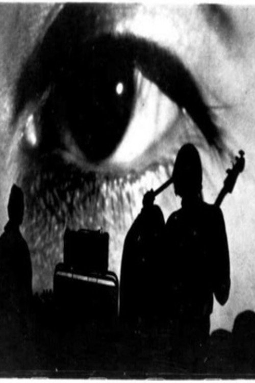 Movie poster for The Velvet Underground: Psychiatrist's Convention, NYC, 1966 (1966)