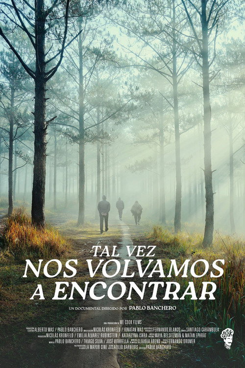 Movie poster for Tal vez nos volvamos a encontrar (2025)