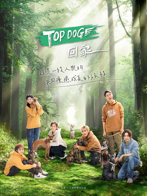 TOP DOG poster