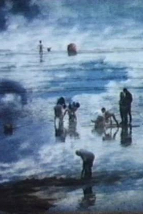 Movie poster for The Beach (1992)