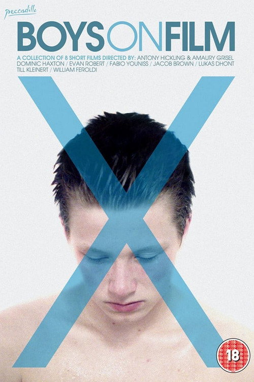 Movie poster for Boys On Film X (2013)