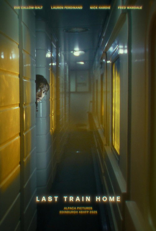 Movie poster for Last Train Home (2025)