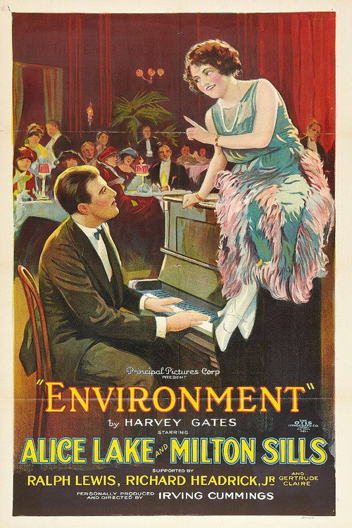 Movie poster for Environment (1922)