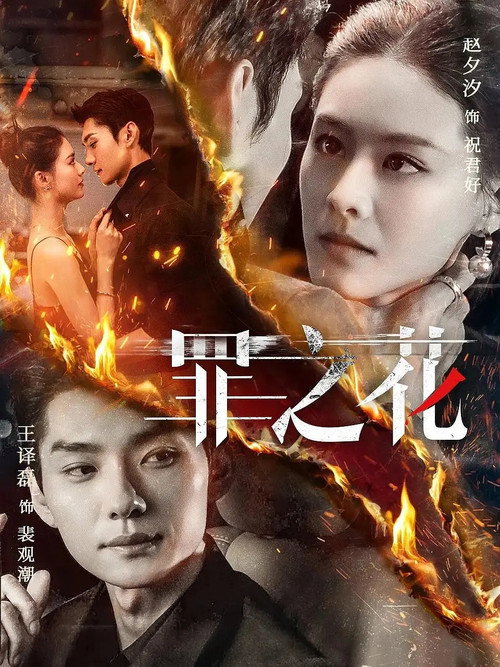 罪之花 poster