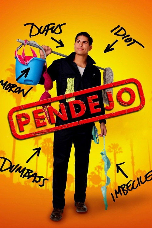 Movie poster for Pendejo (Idiot) (2013)