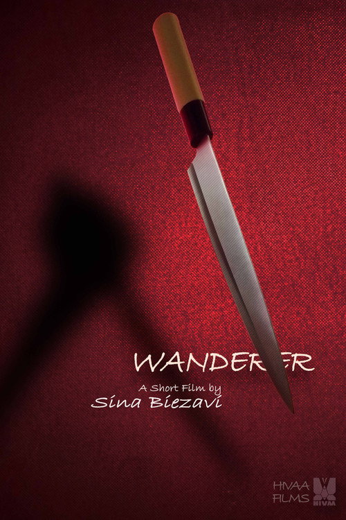 Movie poster for Wanderer (2020)