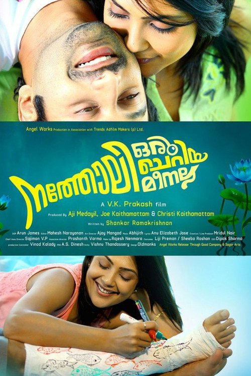 Movie poster for Natholi Oru Cheriya Meenalla (2013)