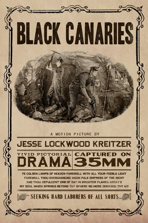 Movie poster for Black Canaries (2016)