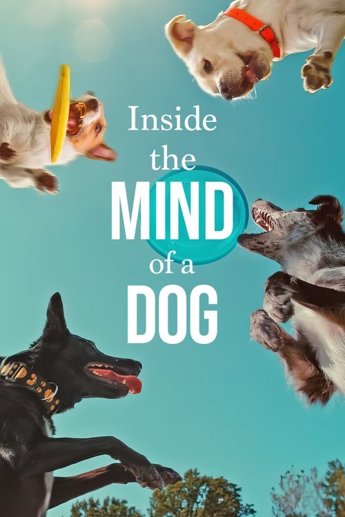 Movie poster for Inside the Mind of a Dog (2024)