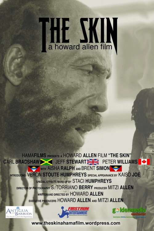 Movie poster for The Skin (2011)