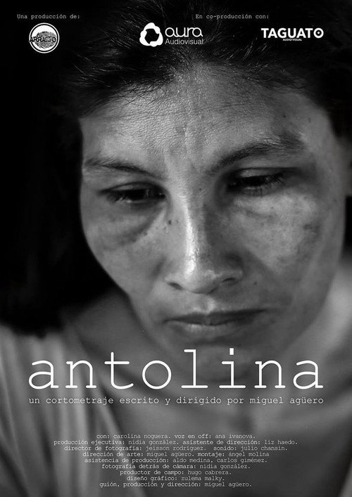 Movie poster for Antolina (2017)