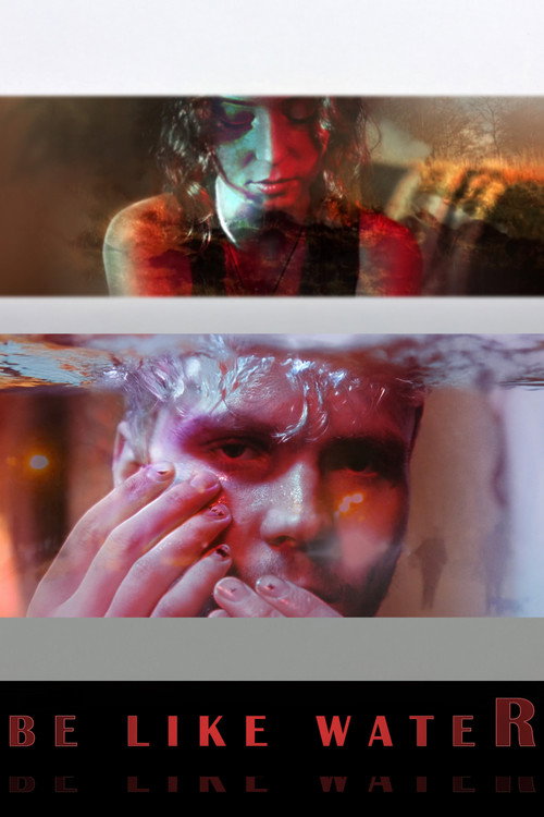 Movie poster for Be Like Water (2021)