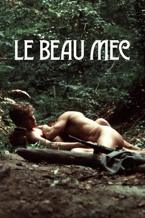 Movie poster for Le Beau Mec (1979)