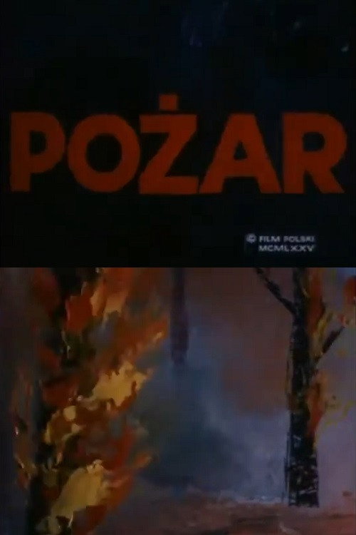 Movie poster for Fire (1975)