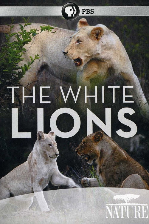 Movie poster for The White Lions (2012)