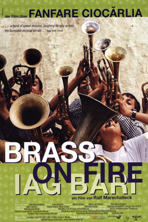 Movie poster for Brass on Fire - Iag Bari (2002)