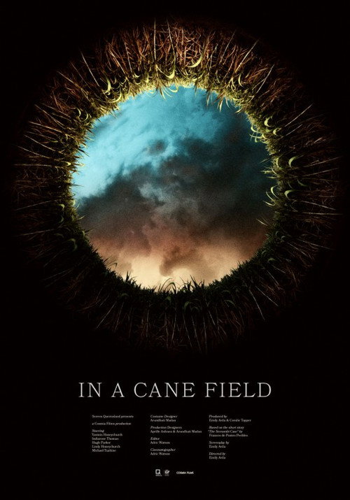 Movie poster for In a Cane Field (2016)