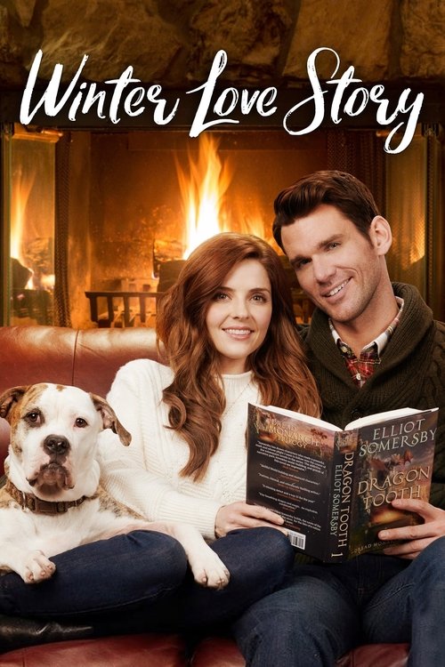 Movie poster for Winter Love Story (2019)