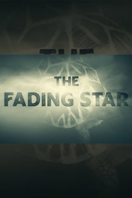 Movie poster for The Fading Star (2025)