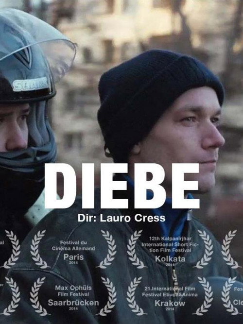 Movie poster for Thieves (2014)