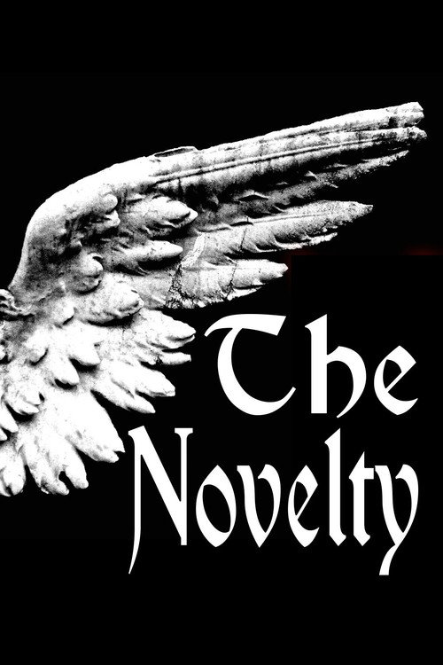 Movie poster for The Novelty (2014)