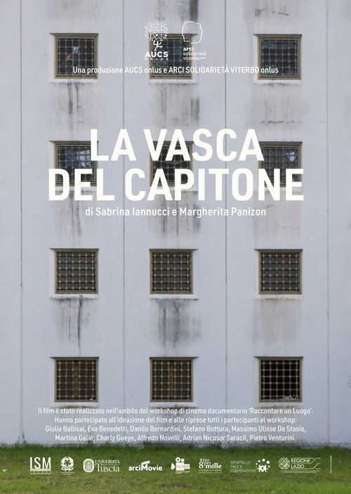 Movie poster for La vasca del Capitone (2017)
