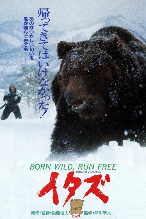 Movie poster for The Forest of the Little Bear (1987)