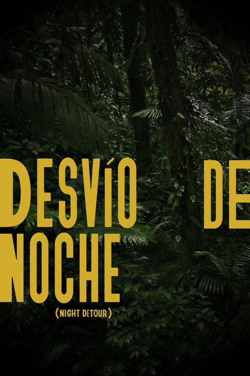 Movie poster for Night Detour (2023)