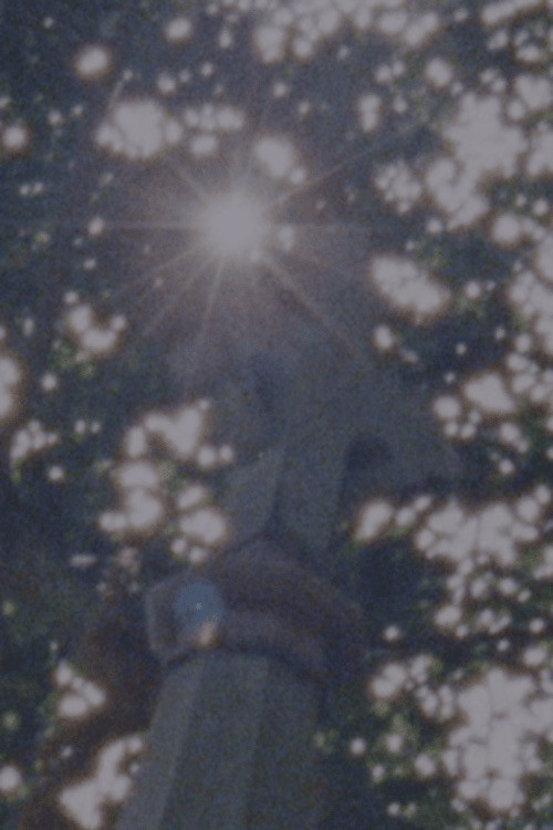 Movie poster for Sacred To The Memory Of (2026)