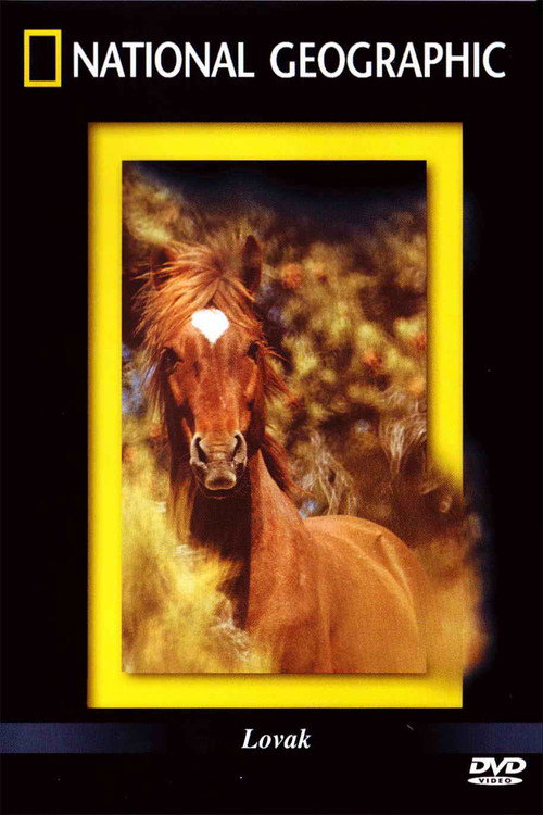 Movie poster for The Noble Horse (1999)