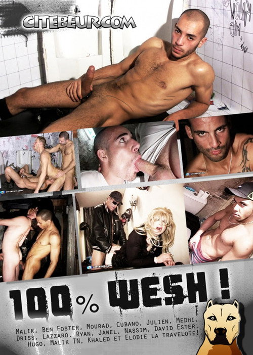 Movie poster for 100% Wesh! (2013)