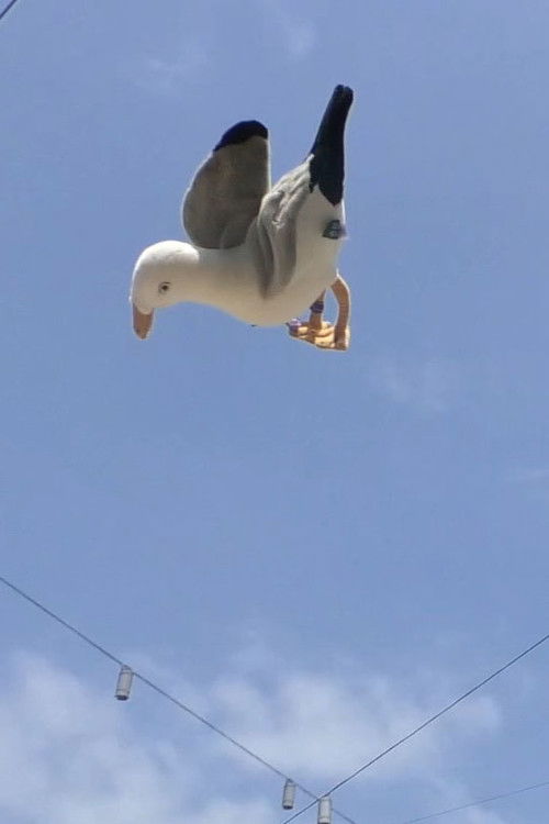 Movie poster for Double Jump (2024)