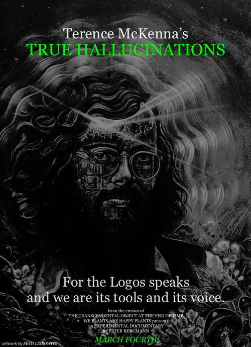 Movie poster for Terence McKenna's True Hallucinations (2016)