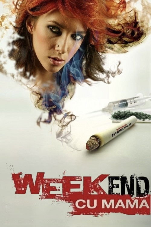 Movie poster for Weekend with My Mother (2009)