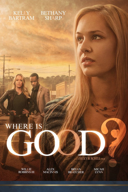 Movie poster for Where is Good? (2015)
