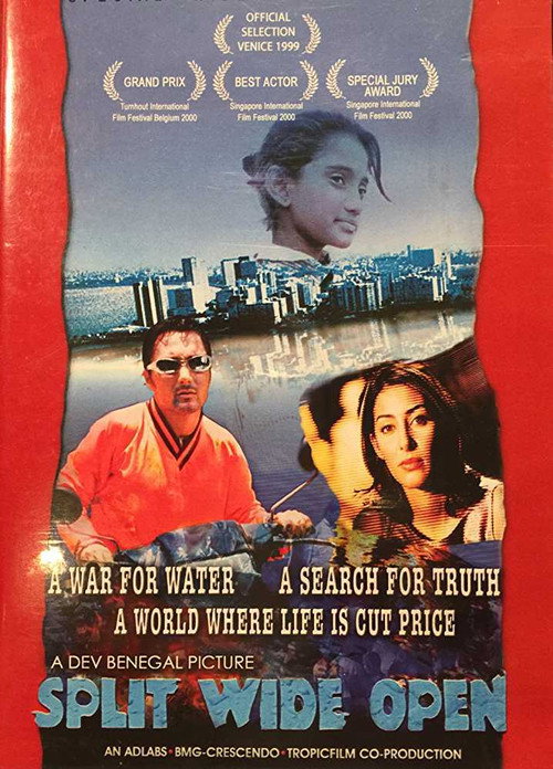 Movie poster for Split Wide Open (1999)